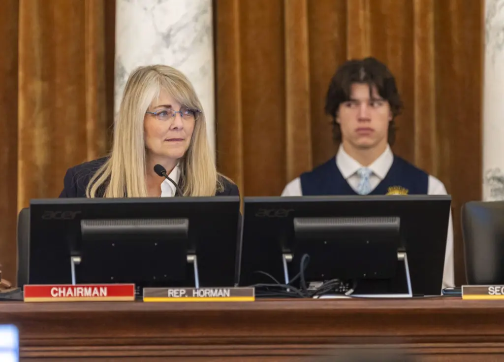 Co-chairwoman Wendy Horman, R-Idaho Falls, conducts the proceedings of the Joint Finance-Appropriations Committee meeting on Jan. 7, 2025, at the State Capitol Building in Boise. (Pat Sutphin for the Idaho Capital Sun)