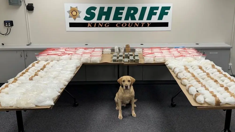 $2 Million Drug Seizure