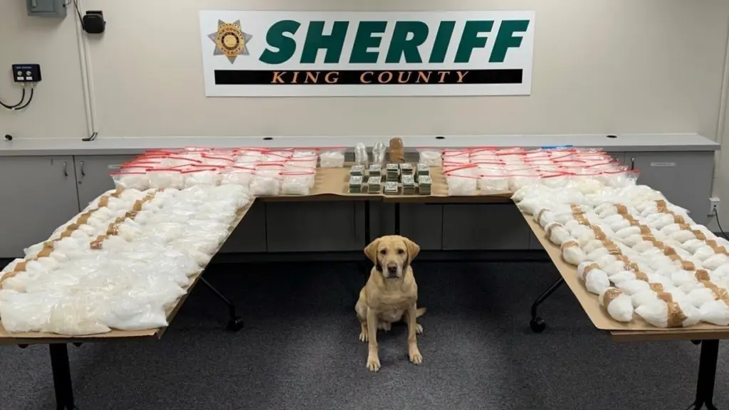 $2 Million Drug Seizure