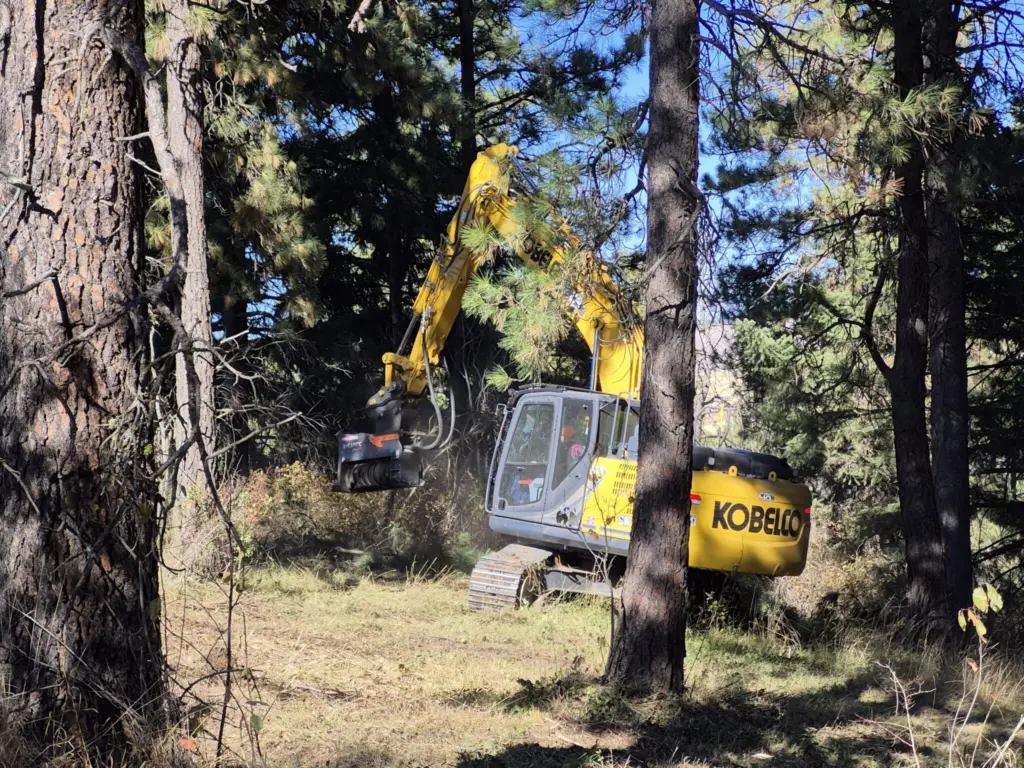 A masticator operator treats a brush patch at the Virgil Phillips Farm Park near Moscow in the fall of 2025. The fuels-reduction project, sponsored by the Latah Soil and Water Conservation District and Latah County, will increase the park’s resiliency from wildfire. (Photo courtesy of Latah County)
