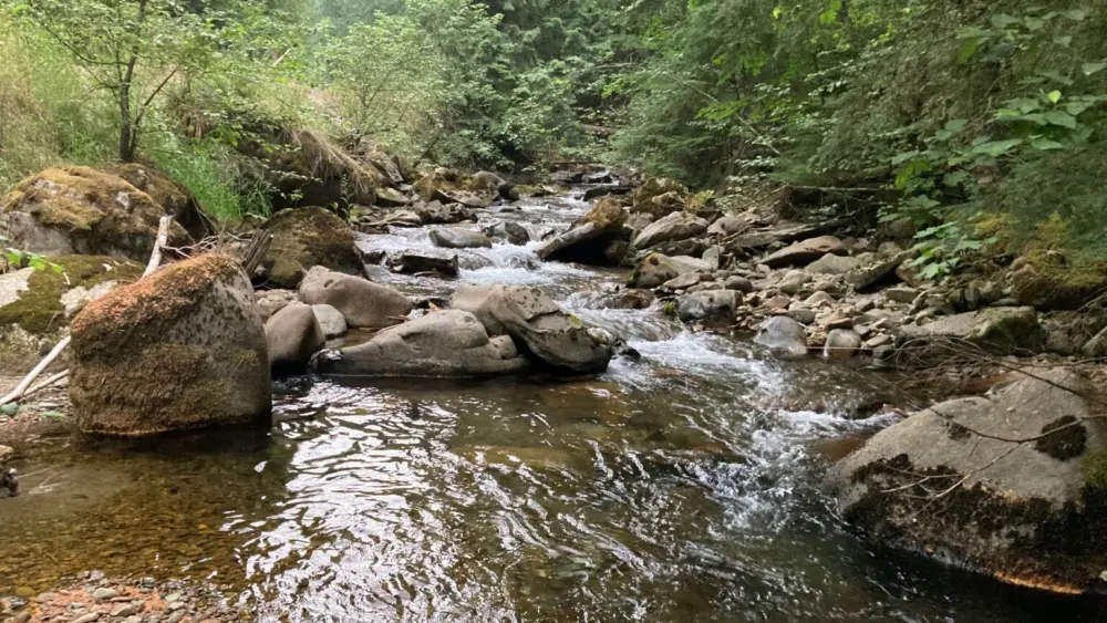 Trestle Creek is one of the most important bull trout spawning streams in the Pend Oreille Basin. (File photo courtesy of Idaho Department of Fish and Game)