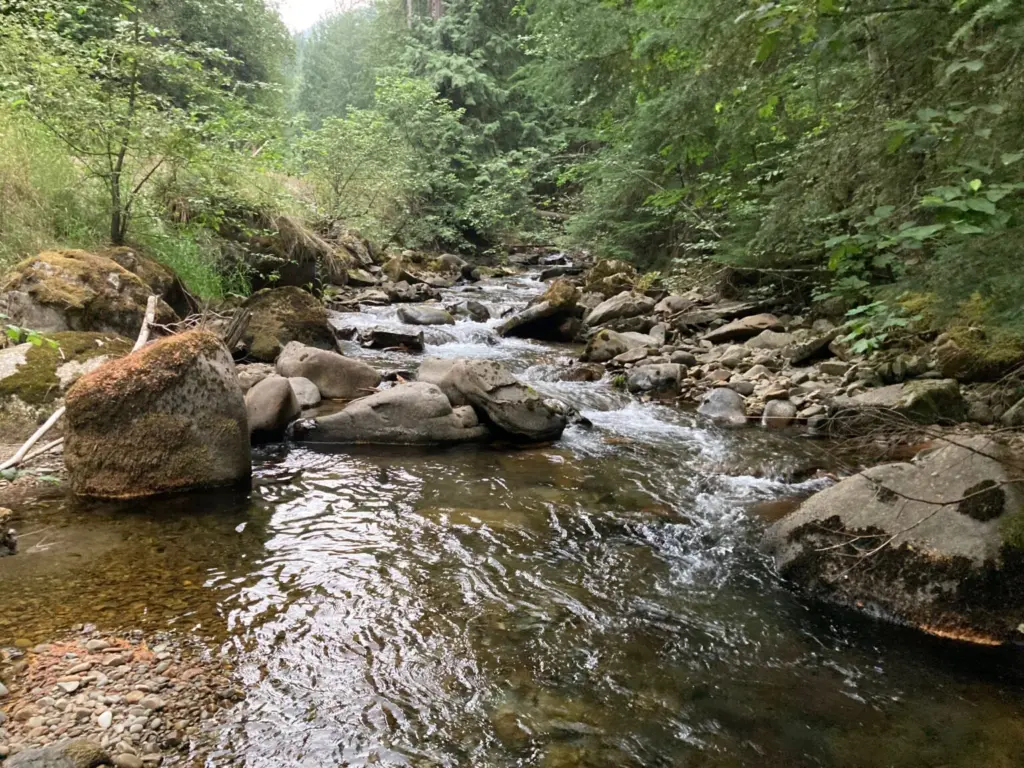 Trestle Creek is one of the most important bull trout spawning streams in the Pend Oreille Basin. (File photo courtesy of Idaho Department of Fish and Game)