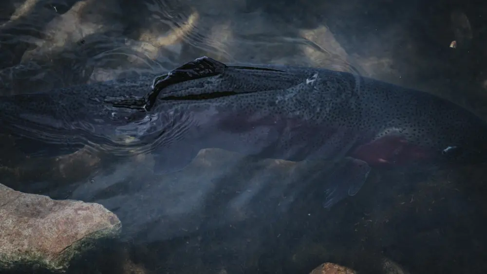 Photo by Jon Sailer on Unsplash