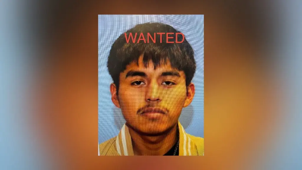 Ismael Milan-Basurto