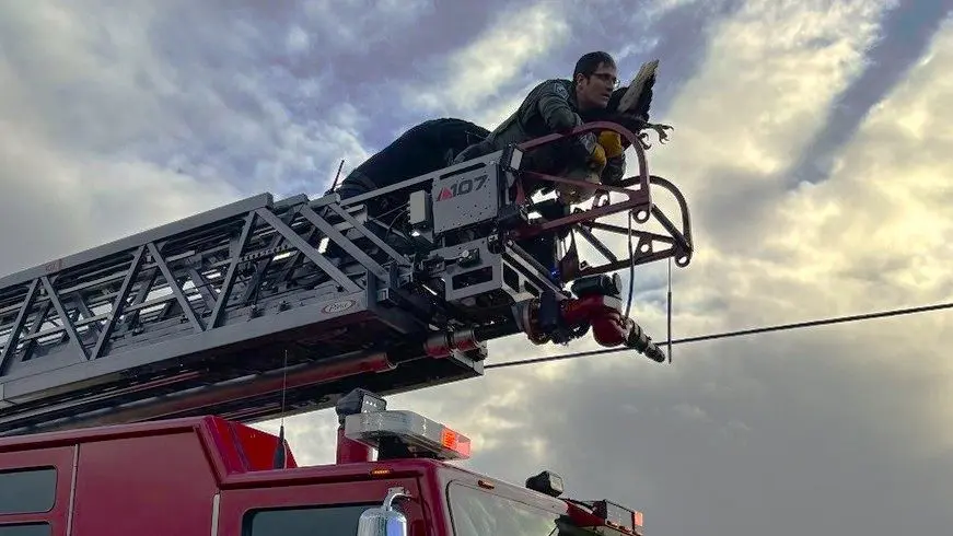 Photo courtesy of Washington Department of Fish and Wildlife Police / Facebook