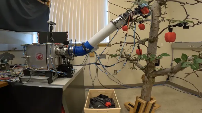 Low-cost, simple robotic apple picker arms like this one, developed by WSU researchers, may someday help with fruit picking and other farm chores (video courtesy of Ryan Dorosh, WSU).