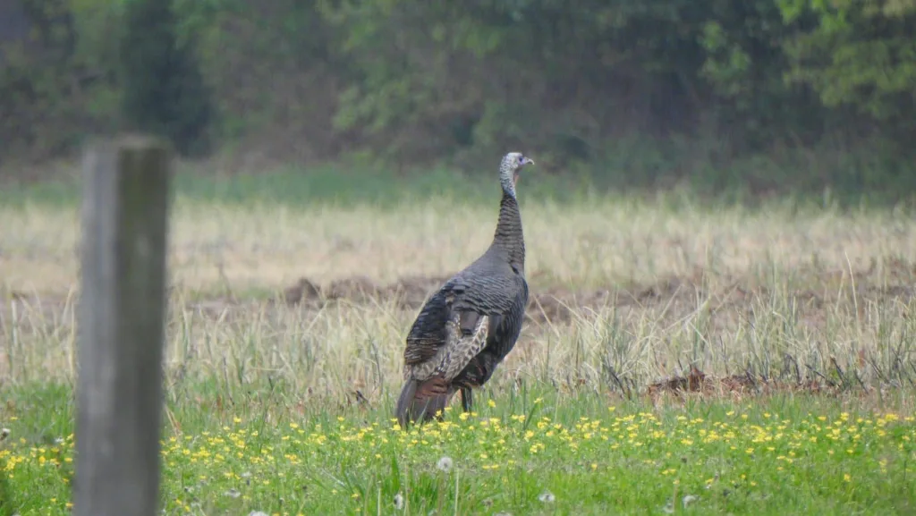 Photo by Stacey Hayden on Unsplash