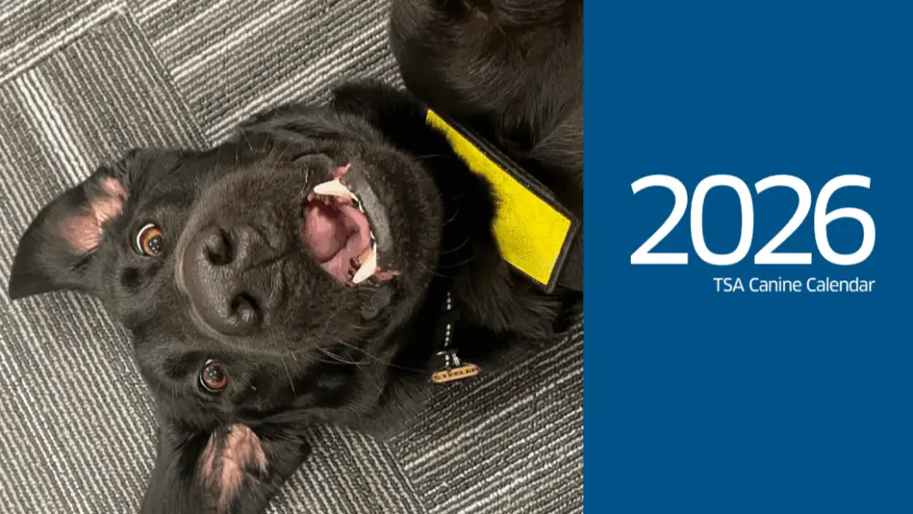The Transportation Security Administration’s 2026 Canine Calendar highlights explosives detection dogs working at airports across the United States. Photo courtesy of the Transportation Security Administration (TSA)