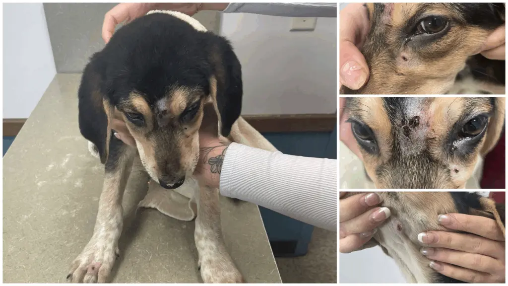 Asotin County Sheriff’s Office