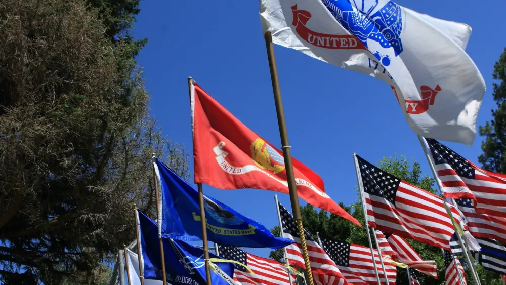 Photo by Judy Beth Morris on Unsplash