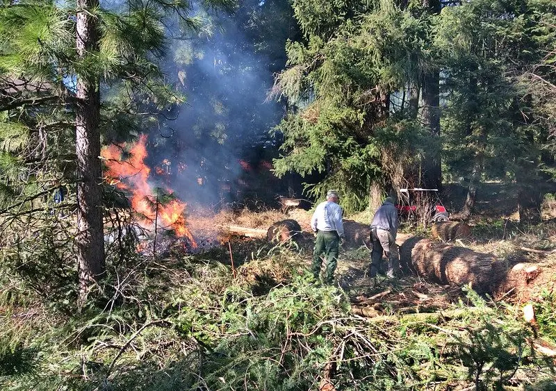 A new bill would require insurers who use catastrophic event and wildfire risk modeling formulas to calculate insurance premiums, demonstrate that their analysis takes policy holders’ wildfire prevention investments into account. (Oregon Department of Forestry/Flickr)