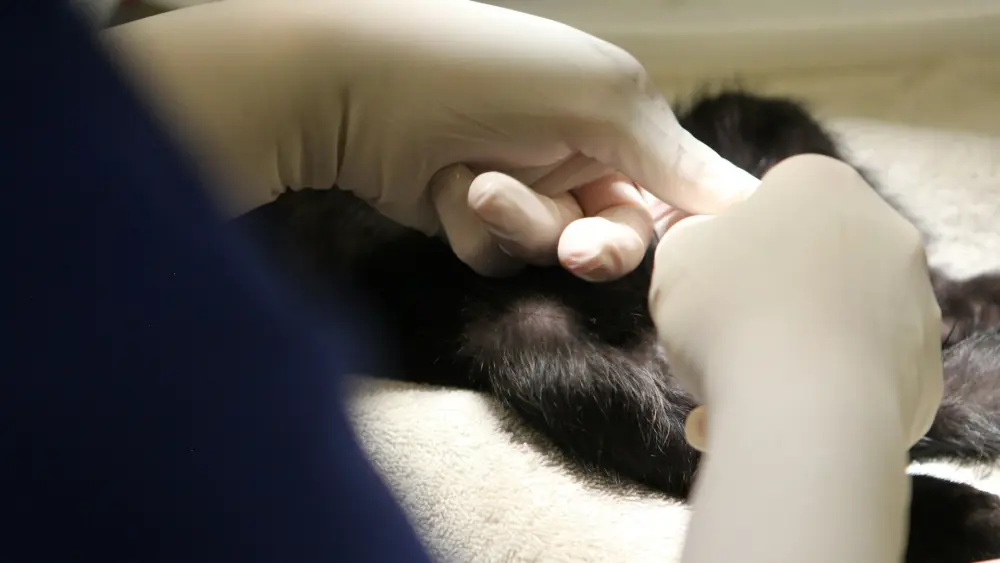 Photo by Judy Beth Morris on Unsplash