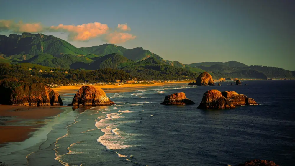 Photo by Kush Dwivedi on Unsplash