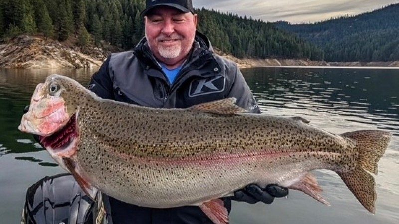 20-pound rainbow trout caught at Dworshak Reservoir sets new Idaho