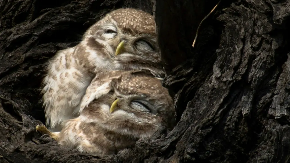 Photo by Chirag Saini on Unsplash