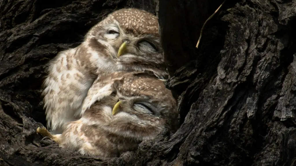 Photo by Chirag Saini on Unsplash