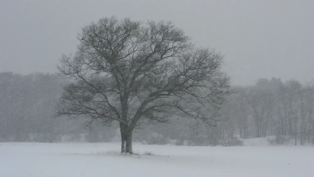 Photo by Keith Polischuk on Unsplash