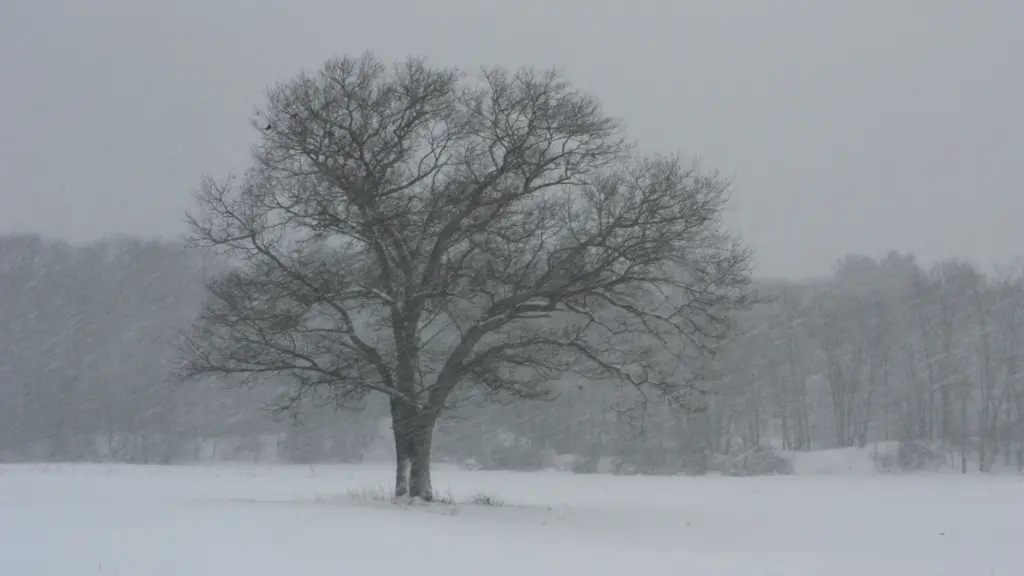 Photo by Keith Polischuk on Unsplash