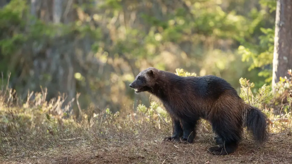 Photo by Hans Veth on Unsplash