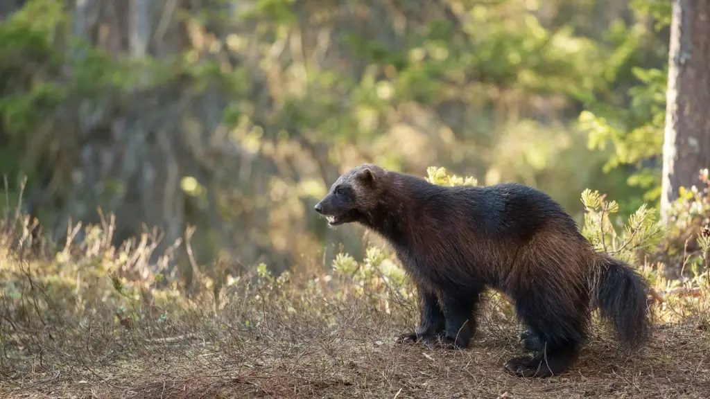 Photo by Hans Veth on Unsplash