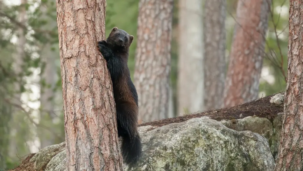 Photo by Hans Veth on Unsplash