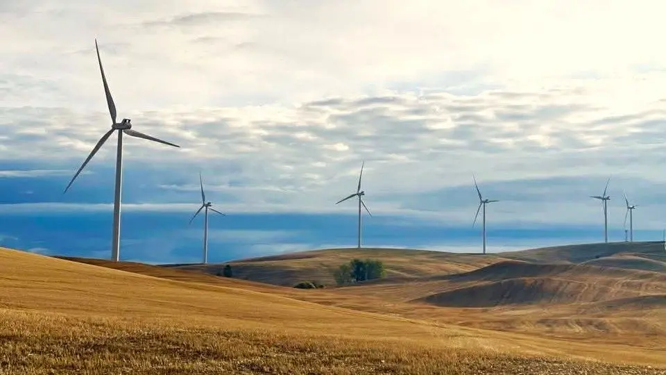 Wind Turbines on U.S. Route 195 near Thornton Washington - Photo: Victoria Johnson 2025 Dailyfly News