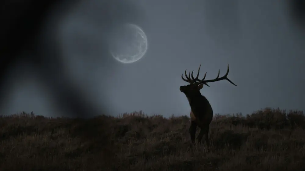 Photo by Tyree Adams on Unsplash