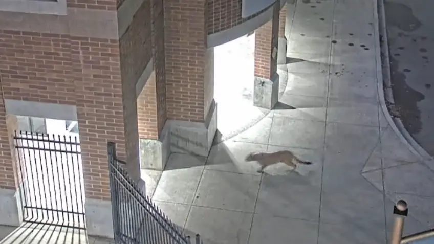 Idaho Fish and Game / Lewis Clark State College