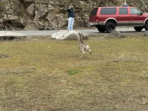 Kootenai County Fire & Rescue