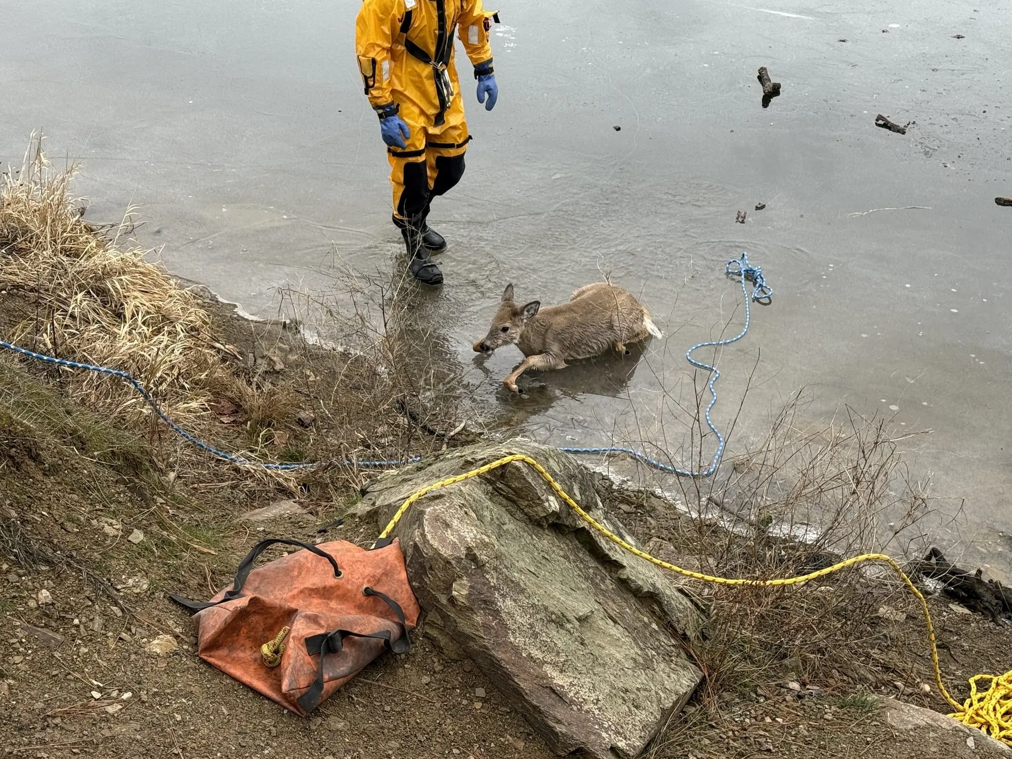 Kootenai County Fire & Rescue