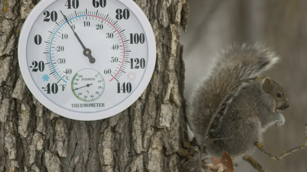 Photo by Gary Fultz on Unsplash