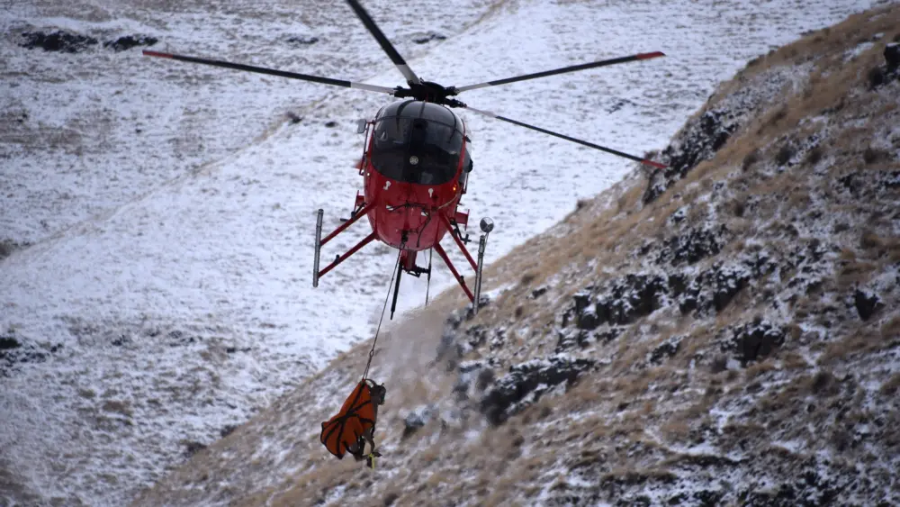 Helicopter-based capture operations for bighorn sheep