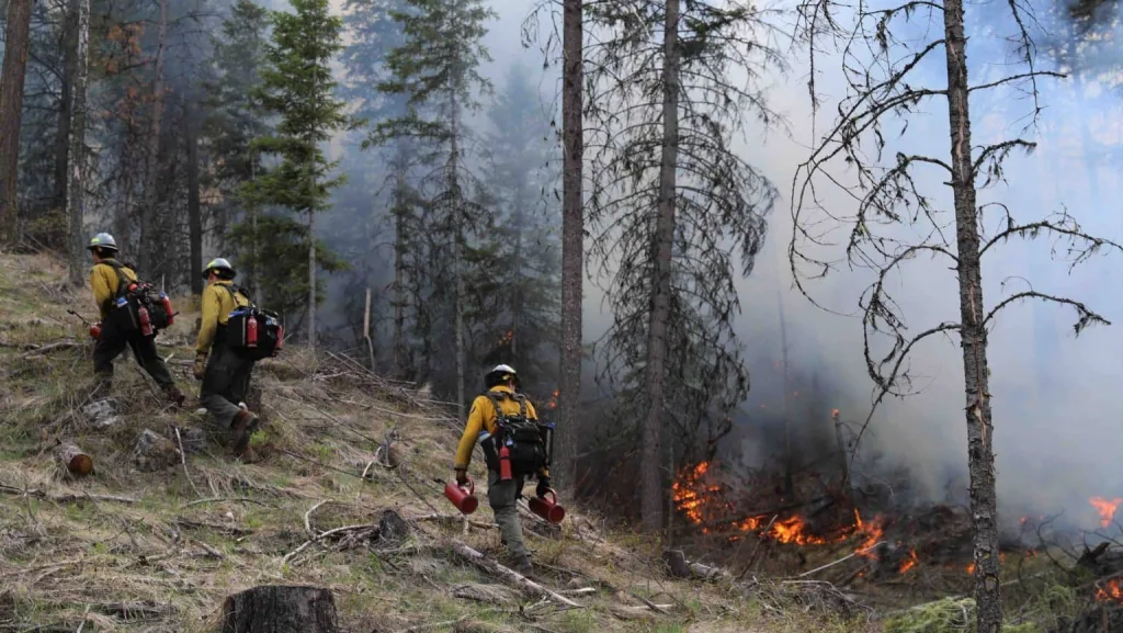 The Washington Department of Natural Resources and the USDA Forest Service conduct a cross-boundary prescribed fire in the Aeneas Valley in 2023. (Photo courtesy of USDA Forest Service)