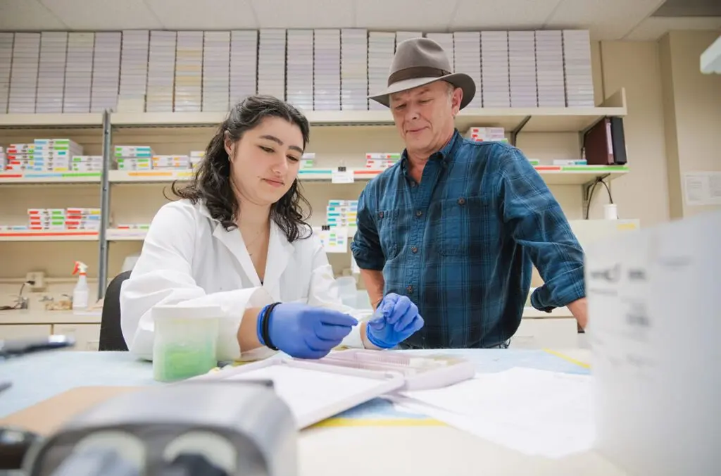 Sarah De Santos, an undergraduate research assistant, and Professor Michael Skinner work together in the laboratory (photo courtesy of WSU).