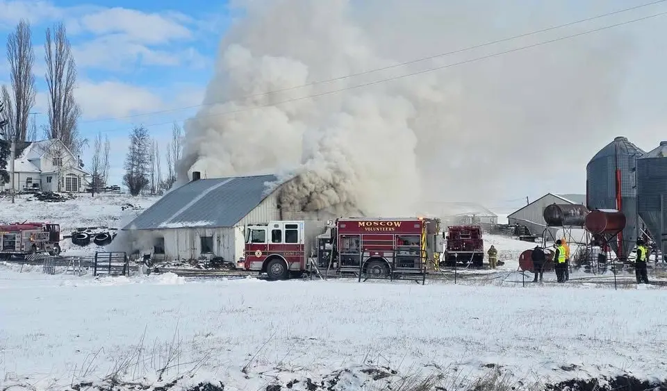 Terrie Hazelbaker Meyer