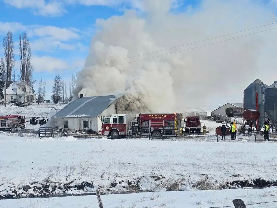 Terrie Hazelbaker Meyer