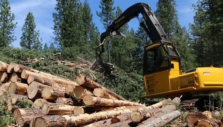 About three-quarters of federal O&C forests in western Oregon are protected from regular logging. But Bureau of Land Management indicated it could return those acres to 1960s harvest levels, more than 10 times current harvest levels. (Photo courtesy of the Bureau of Land Management)