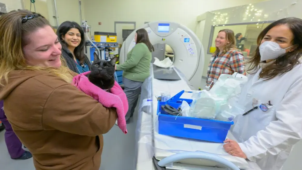 Tux the cat waits to be the first patient to be imaged using the brand new CT scanner at the Veterinary Teaching Hospital in WSU's College of Veterinary Medicine, on Tuesday, Jan. 20, 2026, in Pullman (photo by Ted S. Warren, College of Veterinary Medicine).