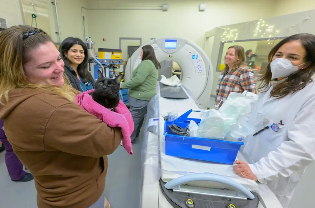 Tux the cat waits to be the first patient to be imaged using the brand new CT scanner at the Veterinary Teaching Hospital in WSU's College of Veterinary Medicine, on Tuesday, Jan. 20, 2026, in Pullman (photo by Ted S. Warren, College of Veterinary Medicine).