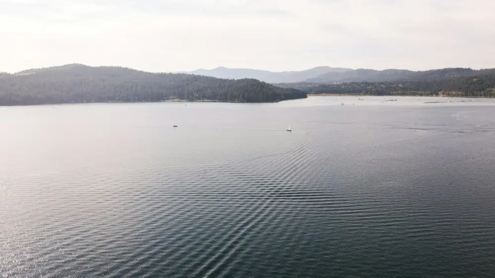 Photo by Matthew Lancaster on Unsplash