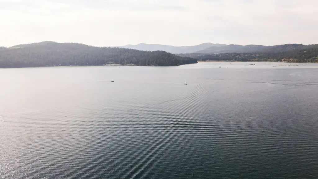 Photo by Matthew Lancaster on Unsplash