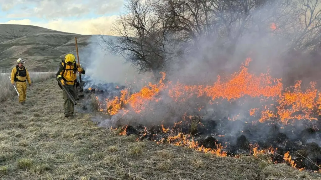 Firefighters Battle 10-Acre Wildland Fire Near Central Ferry