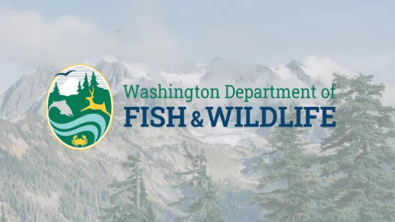 WDFW Washington Department of Fish And Wildlife