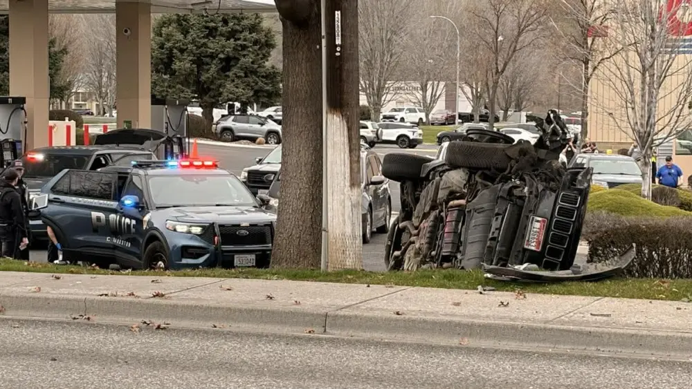 Victoria Johnson Dailyfly Media