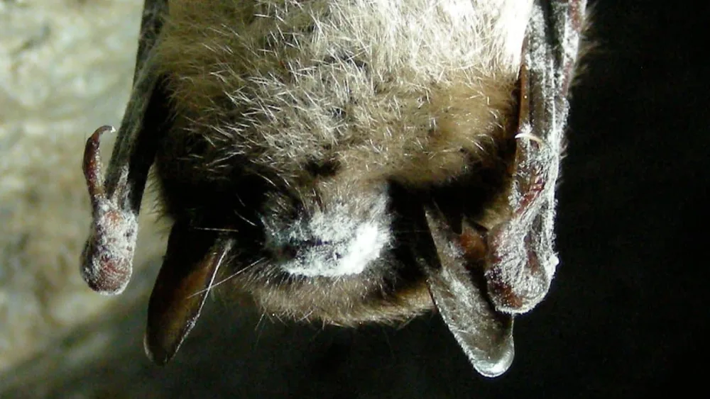 Marvin Moriarty/USFWS, Public domain, via Wikimedia Commons