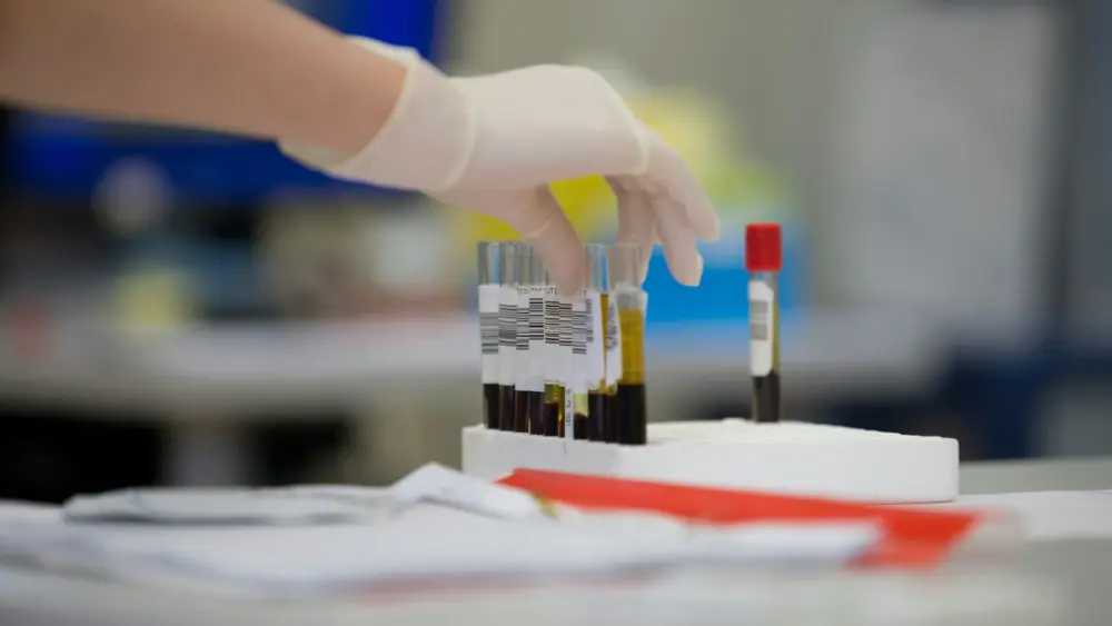 Photo by Adrian Sulyok on Unsplash