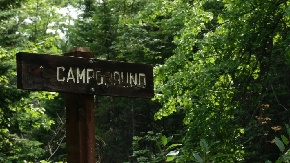 Photo by Joyful on Unsplash