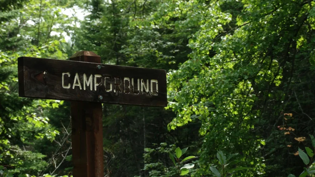 Photo by Joyful on Unsplash