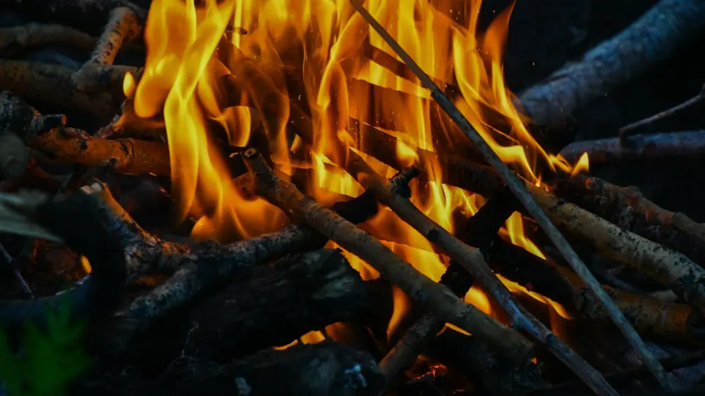 Photo by Tory Hoffman on Unsplash