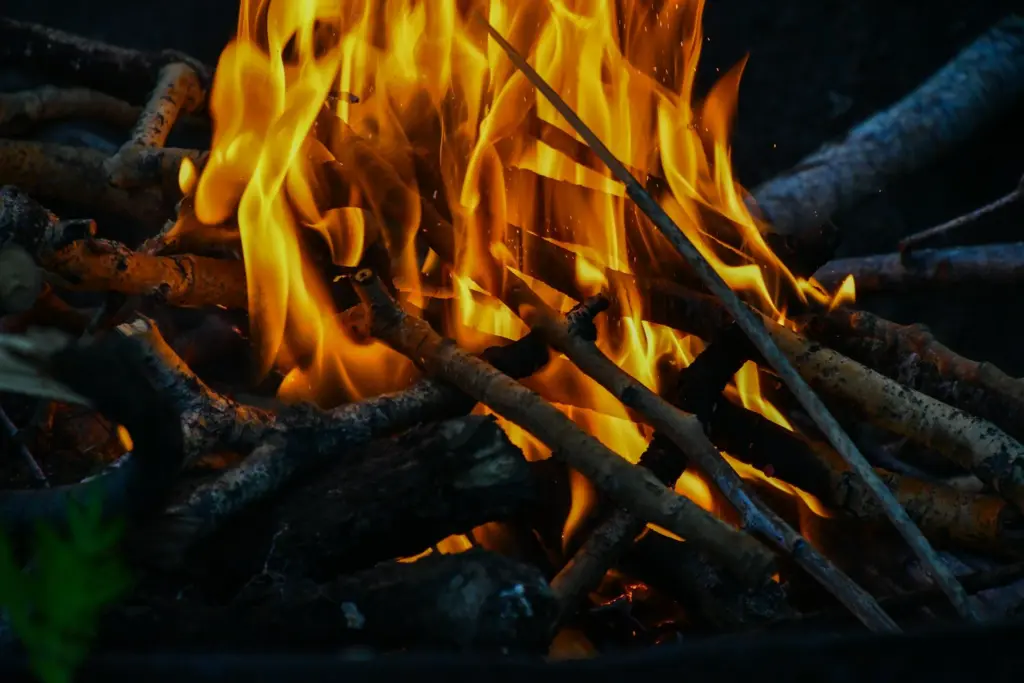 Photo by Tory Hoffman on Unsplash